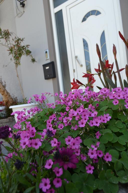 Amalia'S Apartments Kíssamos Dış mekan fotoğraf